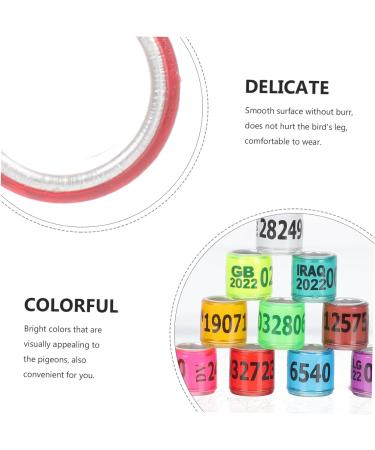 Balacoo 300 Pcs Homing Pigeon Identification Ring Tools Private Pigeons Marker Bird Distinguish Tool Birds 1.1x0.8cm x3pcs Colorfulx3pcs - Buy Online on SooperMarket.com