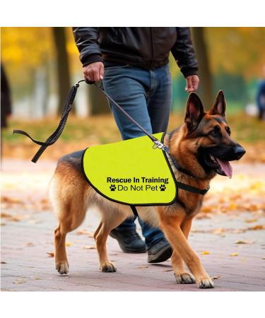CENWA Rescue In Training Do Not Pet Dog Jacket Vest Nervous Anxious Training Dog Slogan Warning Vest (In Training Rescue M EU) - Buy Online on SooperMarket.com