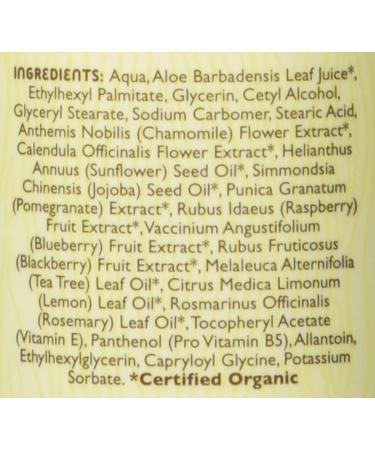 Little Twig Baby Lotion - Berry Pomegrante - 8.5 fl oz | Natural Plant-Derived Formula - Buy Online on SooperMarket.com