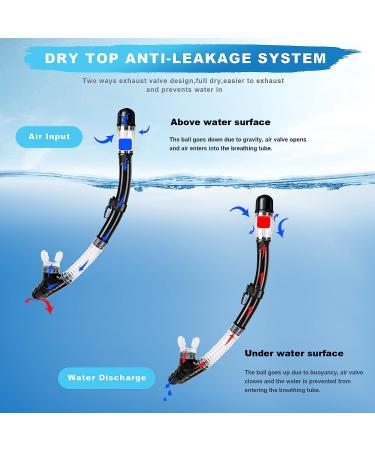 Zipoute Snorkel Set for Adults - Anti-Leak Panoramic Lens, Adjustable Gear for Scuba Diving and Swimming (Black) - Buy Online on SooperMarket.com