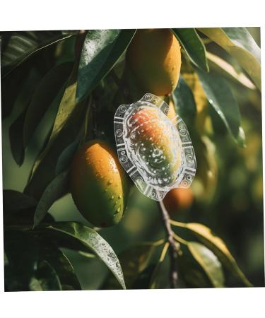 BCOATH Forming Vegetable Tool Clear Gardener Ginseng for Decorative Watermelon Transparent - Buy Online on SooperMarket.com