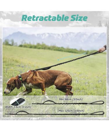 rabbitgoo Bungee Dog Leads for Medium Large Dogs Anti Pull Tactical Lead Rope with 2 Padded Traffic Control Handles for Military Dog Training and Walking Quick Lock Release Black 95-125cm 95-125 cm (Pack of 1) Black - Buy Online on SooperMarket.com