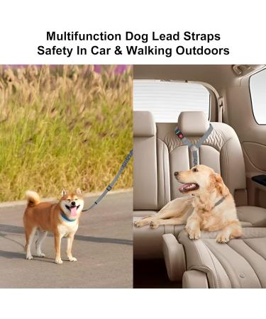 Beaface Headrest Dog Car Seat Belt Pet Car Seat Belt Lead Adjustable Elastic Car Harness Seat Belts for Dogs Cats Pets in Car Strong Nylon Bungee Buffer Dog Car Harnesses (Grey) - Buy Online on SooperMarket.com