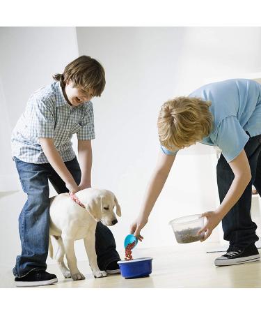 Rypet Pet Food Scoop Set - Measuring Cups and Spoons for Dog, Cat, and Bird Food - Set of 4 (Random Color) - Buy Online on SooperMarket.com