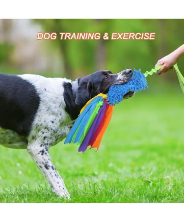 Tekcam 2 Pack Dog Tug Toys - Squeaky Agility Rope Toys for Small & Medium Dogs | Interactive Outdoor Fun - Buy Online on SooperMarket.com