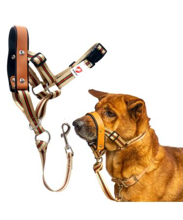 Alpha Boy dog training collar comfortable and gentle dog half for all breeds easy-to-use dog handlebars real leather strap one-piece dog-pulling harness with quick lock buckle (XXL)