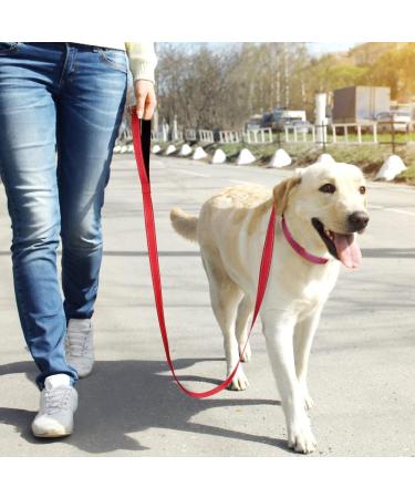 Tagme Personalized Reflective Dog Collar for Large Dogs - Embroidered Nylon with Pet Name & Phone Number - Red XL (1 Pack) - Buy Online on SooperMarket.com