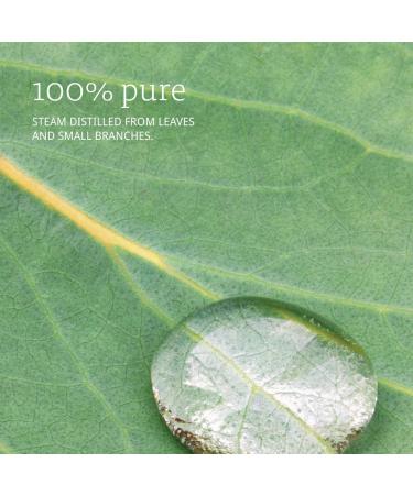 Now Eucalyptus Essential Oil 16 Fl Oz - Pure & Natural Therapeutic Grade - Buy Online on SooperMarket.com