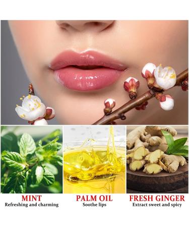 QIUFSSE Lip Plumper Gloss - Hydrating, Plumping, and Anti-Aging Lip Care for Softer, Fuller Lips - Natural Lip Plumping Gloss - Buy Online on SooperMarket.com