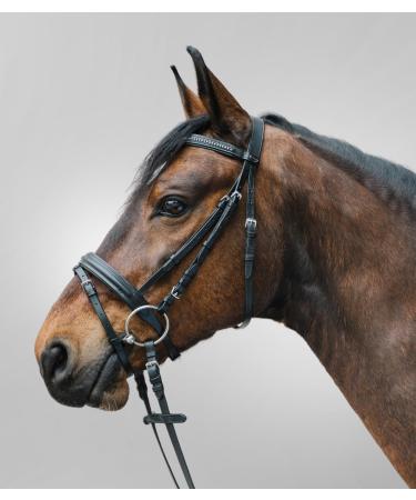 Star WALDHAUSEN Bridle Diamond Black Thoroughbred