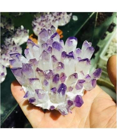 Natural Crystal Cluster Amethyst Specimen Ore Purple Reiki Stone Raw Crystal Home Decor Decoration Gift (Size : 500-600) - Buy Online on SooperMarket.com