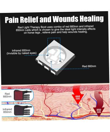 Red Light Therapy Belt for Horse Leg 850nm Infrared & 660nm LED Red Light Therapy Wrap Red Light Therapy Pad Left - Buy Online on SooperMarket.com