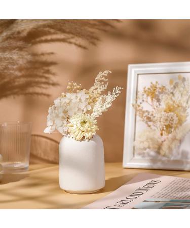 AhlsenL Real Dried Flowers Mix - Hydrangeas, Daisies, White Decorative Petals for DIY Crafts - Buy Online on SooperMarket.com