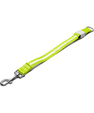 Furhaven Pet Hands-Free Bungee Dog Leash with LED Collar and Safety Features - Multiple Colors and Sizes - Buy Online on SooperMarket.com