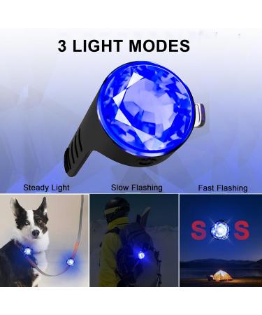 2 Pack LED Dog Harness Lights - Fluorescent Silicone Bands with USB-C - IP65 Waterproof - 3 Modes Flashing Light (Blue) - Buy Online on SooperMarket.com