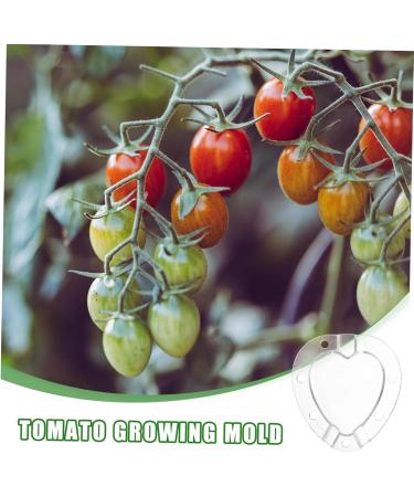 BCOATH 2 Sets Heart Shaped Tomato Mold Tomatoes Fruit Accessory Convenient Fruits Plastic Shaping Abrasives - Buy Online on SooperMarket.com