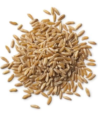 Organic Kamut Grain 1kg (BWFO) - Buy Online on SooperMarket.com