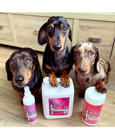 Pretty Pooch Gentle Touch Dog Shampoo & Conditioner - 2L Baby Powder Fragrance | Non-itchy Deep Cleaning for Dogs with Sensitive Skin - Buy Online on SooperMarket.com