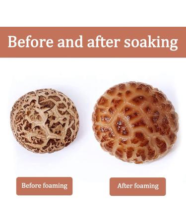 YanHouTang White Flower Shiitake Mushrooms 4 Oz - Premium Dried Mushrooms, Rich in Protein, All Natural & Nutritious, Soft Texture, Fresh Flavor - Buy Online on SooperMarket.com