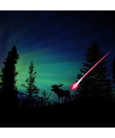 GUGA 6Pcs Lighted Nocks for .244 /6.2mm Arrows - Automatic Red LED - Shooting Activation - Buy Online on SooperMarket.com