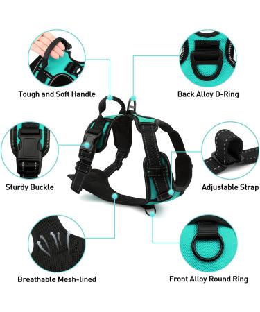 Buy Joytale Reflective Dog Harness for Small Dogs - Soft Padded Adjustable & Breathable - Safe Control Handle - Turquoise - 1 Pack - Buy Online on SooperMarket.com