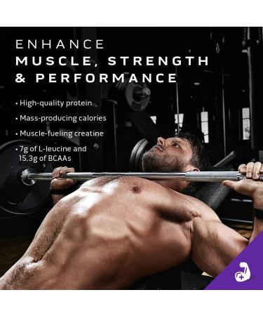 MuscleTech Mass Gainer MuscleTech 100% Mass Gainer Protein Powder Protein Powder for Muscle Gain Whey Protein + Muscle Builder Weight Gainer Protein Powder Creatine Supplements Chocolate Fudge Brownie 4 Pounds - Buy Online on SooperMarket.com