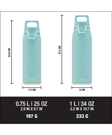 SIGG Stainless Steel Drinking Bottle 0.75L - Shield One | Carbonated Drink Safe Leak-Proof BPA-Free Lightweight - Glacier Color - Buy Online on SooperMarket.com