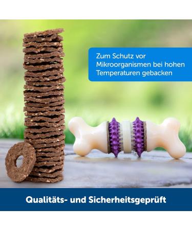 Petsafe Busy Buddy Kauringe - Raw Skin Dog Treats for Snackring Toys Size A 16 Pieces | Premium Chews for Happy Dogs - Buy Online on SooperMarket.com