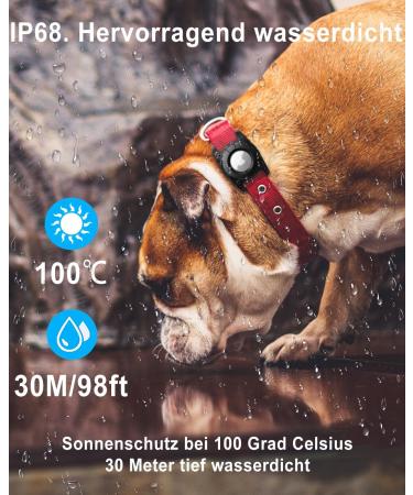 Waterproof Airtag Case for Dogs & Cats | OneOnta Airtag Dog Collar - Green 2.5cm Width - Perfect for Airtag & Trailer Use - Buy Online on SooperMarket.com