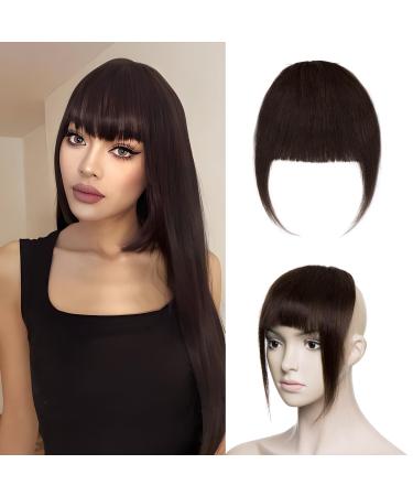 Silk-co One Piece Hair Bangs Fringe Hair Extensions Clip in Human Hair Extension #02 Dark Brown Straight Flat with Temple
