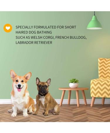 Nobleza Puppy Shampoo - Mild Almond & Honey - Itch Relief for Short-Haired Dogs (250ml) | Ideal for French Bulldogs & Pugs - Buy Online on SooperMarket.com