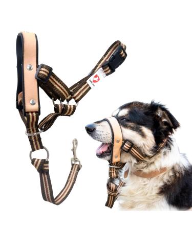 Alpha Boy Dog Training College Comfortable and Gentle Dog Halver For all breeds easy-to-use dog owners real leather strap one-piece dog-pulling harness with quick lock buckle (L)