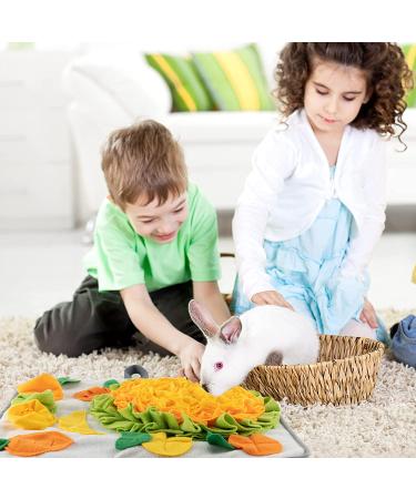Rabbit Foraging Mat with Fixing Handle - Interactive Snuffle Pad for Rabbits, Guinea Pigs, Ferrets - Machine Washable Polar Fleece Feeding Mat - Buy Online on SooperMarket.com