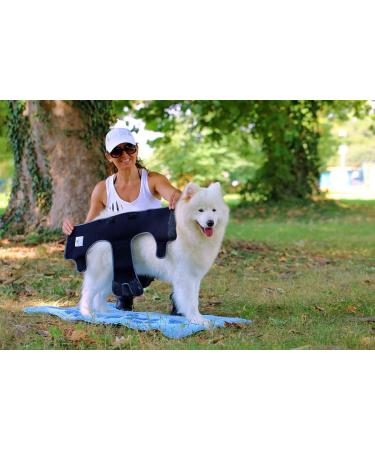 Buy High-Quality Financial Trousers for Dogs 2.0 - Premium Neoprene Diapers for Males - Optimal Airflow No Rod Threading - Large Blue - Buy Online on SooperMarket.com
