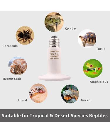 Dernord 50W E27 Heating Lamp - Ceramic Heat Emitter for Reptiles Turtles & Chicks | Outdoor Heating Spotlight - Buy Online on SooperMarket.com