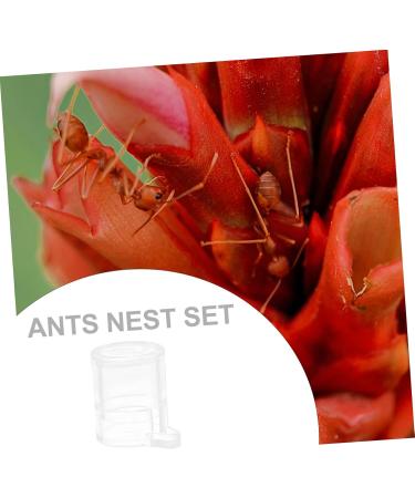 POPETPOP 2pcs Pet Water Feeder Pet Stuff Pet Water Bowl Ant Villa Ants Drinking Tool Small Water Cup - Buy Online on SooperMarket.com