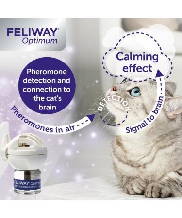 Feliway Optimum Refill Purple Package may vary 3 Count ( Pack of 1) - Buy Online on SooperMarket.com