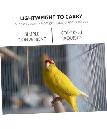 PRETYZOOM Bird Cage Cleaning Tool Bird Poop Cleaning Tools Jewelry Cleaning Kit Birds Brass Hamster 33X3X0.5CM As Shown - Buy Online on SooperMarket.com