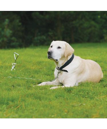 Heavy Duty 18 Dog Stake Tie Out - Outdoor Camping Ground Anchor for Small, Medium & Large Pets - Buy Online on SooperMarket.com