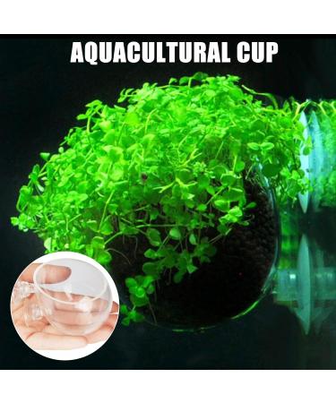 Delamiya 4-Piece Aquarium Plant Pots - Decorative Crystal Glass & Suction Cups for Lively Aquatic Displays - Buy Online on SooperMarket.com