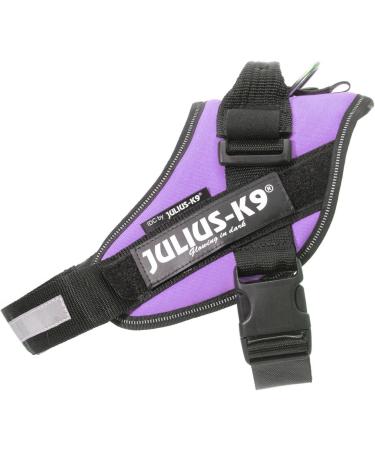 Buy IDC Powerharness M/0 - Violet | International Shipping | Best Quality Dog Harness - Buy Online on SooperMarket.com