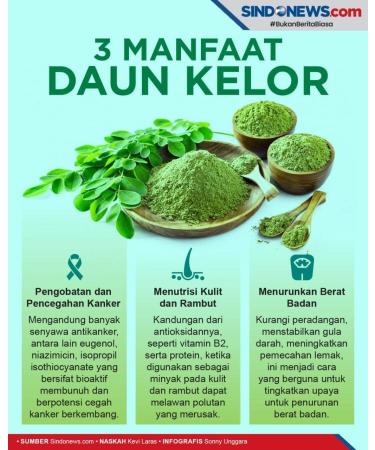 MORINGA TEA ORGANIC 50g | DRIED MORINGA LEAVES | loose tea theine-free Revitalizing herbal tea Great in Salads Juice cooking Or Soups - Daun Kelor Kering - Buy Online on SooperMarket.com