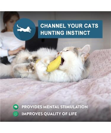 Ertzinla Catnip Toys Banana for Cats UK Banana 100% Natural Cat nip Filled - Buy Online on SooperMarket.com