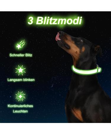 Jostift Luminous Elbe Rechargeable LED Dog Collar - Waterproof & Adjustable for Small/Medium Dogs - Super Bright with 3 Lighting Modes (Green) - Buy Online on SooperMarket.com