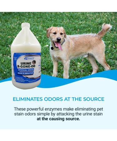 Urine B-Gone-OD: Professional Pet Urine Enzyme Cleaner & Odor Eliminator for Artificial Grass Concrete - 1 Gallon (128 Fl Oz) - International Shipping Available - Buy Online on SooperMarket.com