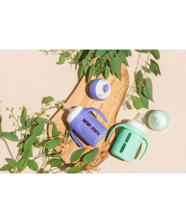 Glass Sippy Cup Set for Toddlers - 5oz - Spill-Proof Silicone Straw - Mint Green & Indigo Purple - BPA-Free - Buy Online on SooperMarket.com