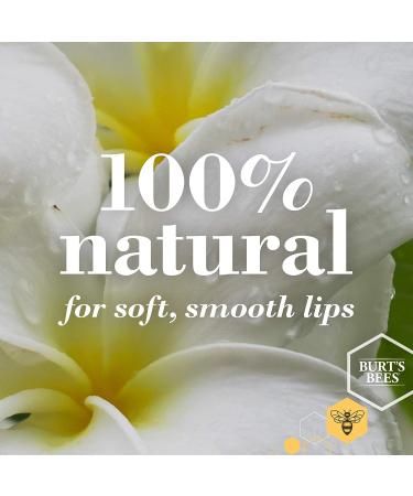 Burts Bees Lavender and Honey Lip Butter Unisex Lip Balm 0.4 oz - All-Natural Moisturizing Lip Care - Buy Online on SooperMarket.com