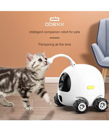obexx Smart Pet Camera  Smart Companion Robot for Pets  Dog Treat Dispenser  Movable 1080P Full HD WiFi pet Camera Night Vision  2way Video via Smart Phone App (2.4G WiFi ONLY) White - Buy Online on SooperMarket.com