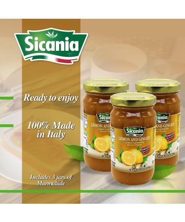 Sicania Italian Lemon Ginger Marmalade (Pack of 3) - Made in Sicily | Artisanal Jams & Preserves | Ideal for Breakfast, Snacks, and Gifting - Buy Online on SooperMarket.com