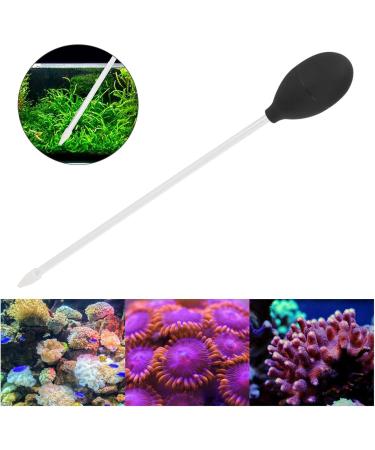 Fish Feeder Fish Feeders for Aquariums 2MM Long Acrylic Coral Feeder Fish Tanks Tube Coral Feeding Tube for Coral Feeding Cleaning for Reef Anemones(Black) Black Coral Feeding Tube - Buy Online on SooperMarket.com